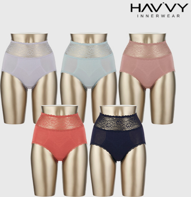 [하비] 데일리 코튼혼방 힙라인 보정팬티 B형 5종세트