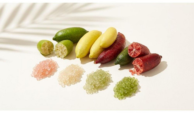 톡톡 핑거라임 캐비어라임 국내산 100g 입문세트 제니오숲, A. 핑거라임 100g 입문세트