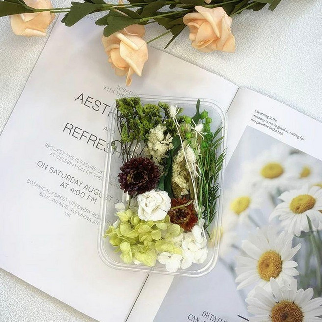 다양한 종류의 드라이 플라워가 담긴 DIY 공예용 재료 박스 캔들 석고 방향제용, 1개, 라이트그린 로즈 영구 꽃 1개