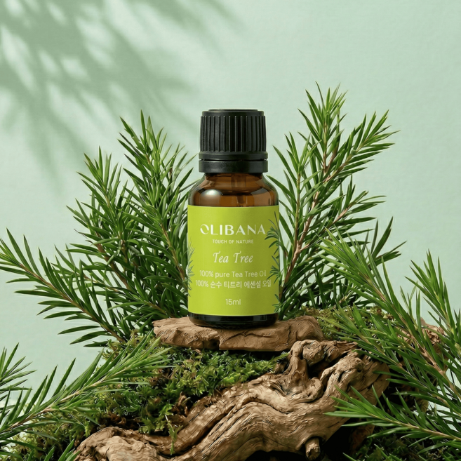 [올리바나] 티트리 아로마 에센셜오일 유기농 100% 순수 원액 아로마테라피 15ml, 1개, 티트리향