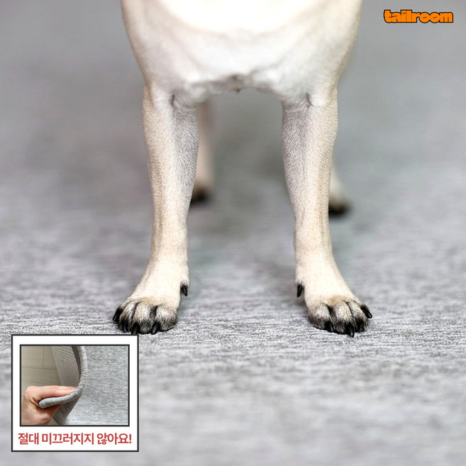 테일룸 러그 미끄럼방지 방수 슬개골탈구방지 강아지 고양이, 1개, 라이트그레이