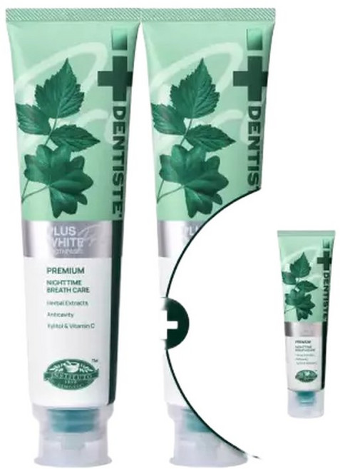 덴티스테 뉴플러스화이트 치약, 200g, 2개