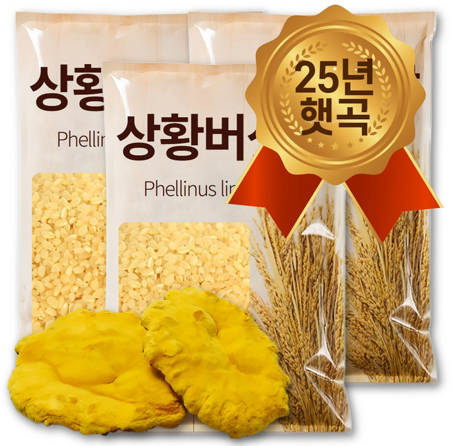 The큰나무 대용량 상황버섯쌀 상황버섯 백미 면역관리 베타글루칸, 3개, 4kg