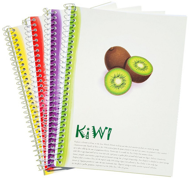 [스타일] 2000연습장 10권 무지 연습장 85매, 1세트