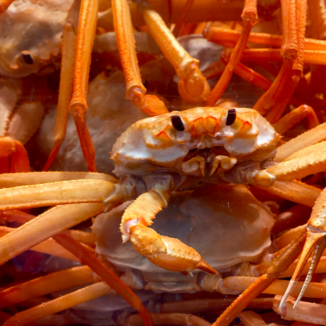 [품질보증] 수율 90% 이상 국내산 A급 구룡포 연지홍게 (프리미엄형/고급형/일반형), 고급형-자숙, 1박스, 3kg