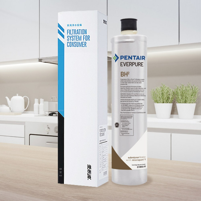 愛惠浦 MH-2 淨水器濾心，微米級過濾，有效去除氯氣與異味，提升飲水品質, 1個