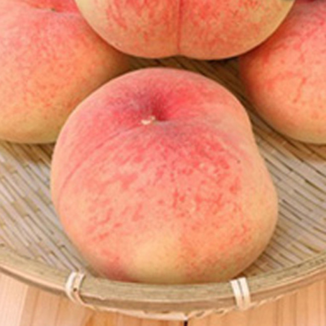 딱딱이털복숭아대과10kg(30-45과), 1개