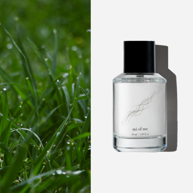 미오브미 베이19 니치 향수 오드퍼퓸, 1개, 50ml