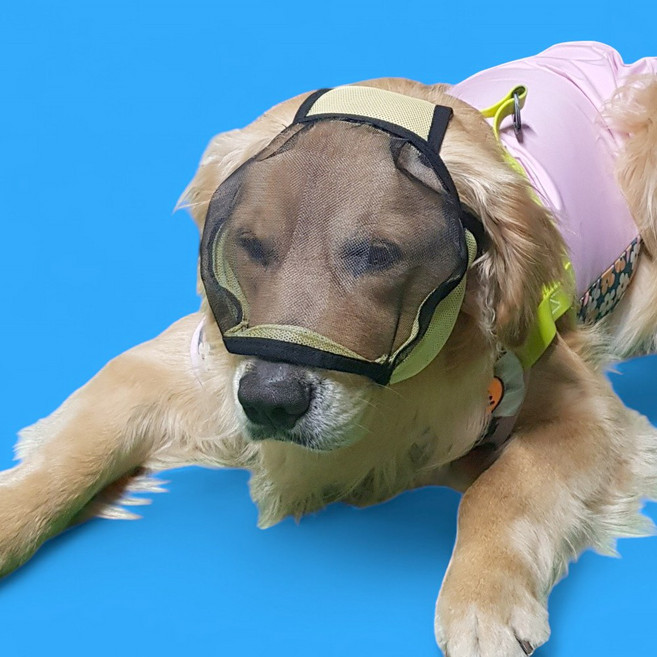 강아지 눈보호 얼굴 진드기 모기 날파리 해충 방지용 마스크 망사 고글, 1개, 강아지 망사고글