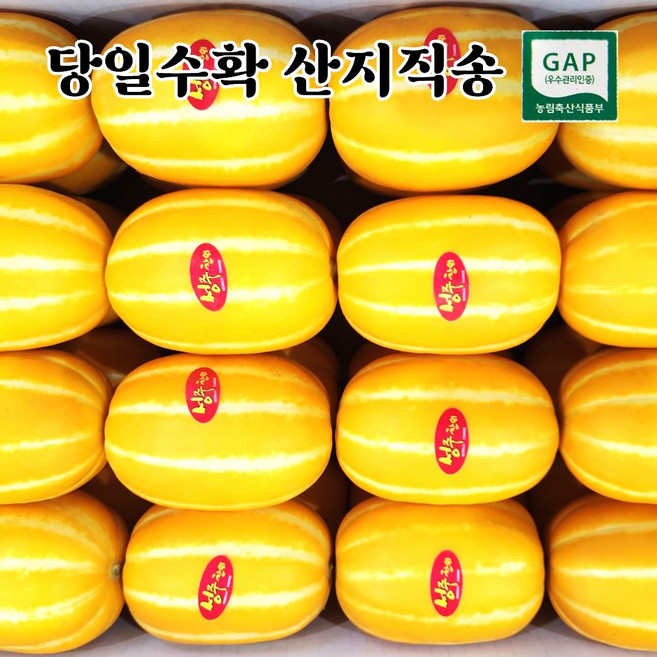 참외 TOP8