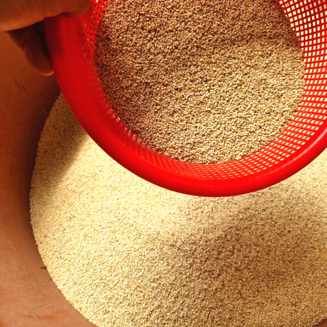 전남 곡성 산지직송 25년산 국산 햇 참깨 국내산 참깨, 1박스, 1kg