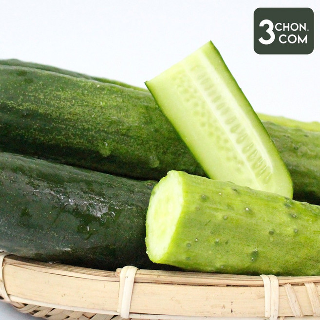 신선함이 입안가득 향긋한 국내산 청오이/백오이 2kg/5kg, 백오이 2kg, 1개