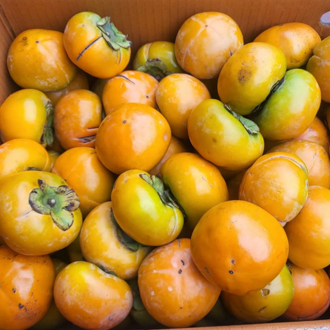 단감 못난이 가정용 랜덤과 고당도, 1개, 3kg