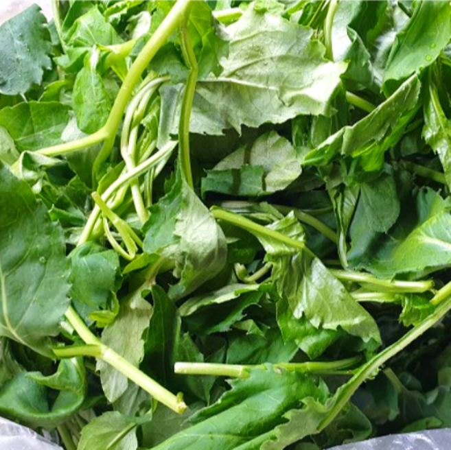 고품질 국산 생 부지깽이 나물 쑥부쟁이 햇 부지갱이 400g 1kg울릉도 봄나물 산지직송 농장직송 국내산부지깽이 제철나물 나물반찬, 1kg, 1개