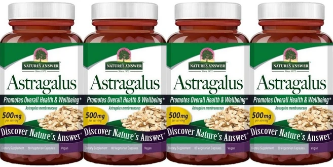 네이처스앤서 아스트라갈루스 황기 뿌리 500mg, 4개, 60정, 60정 - 쿠팡
