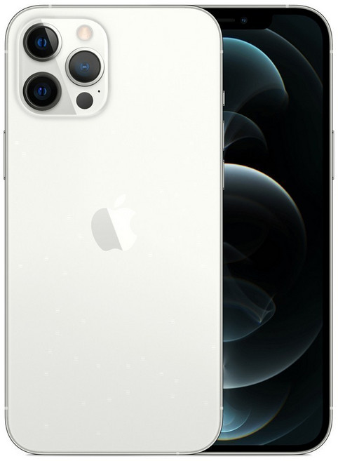 Apple 아이폰 12 Pro 자급제, 128GB, 실버