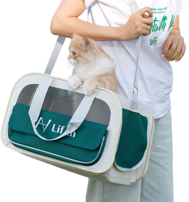 리프아 반려동물 3면통풍 강아지 고양이 이동가방, 1개, 그린