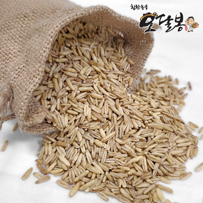 힘찬농부오달봉 국산 귀리 귀리쌀, 1개, 5kg