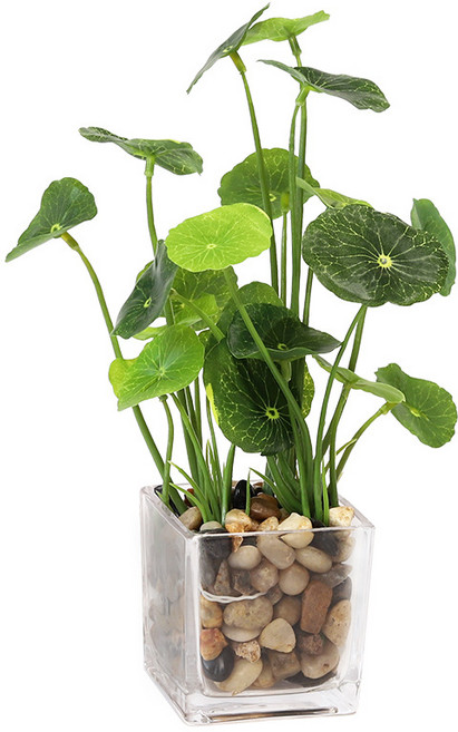 스토니그린 인테리어 조화꽃 미니 조화화분, 로터스, 1개