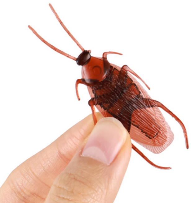 원앤 바퀴벌레 모형 바퀴벌레피규어