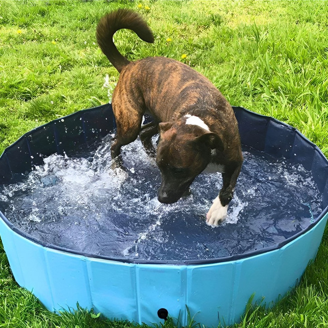 8LOME 애견욕조 접이식 강아지 수영장 목욕통 물놀이 튜브 매트 100cm, 1개, 블루