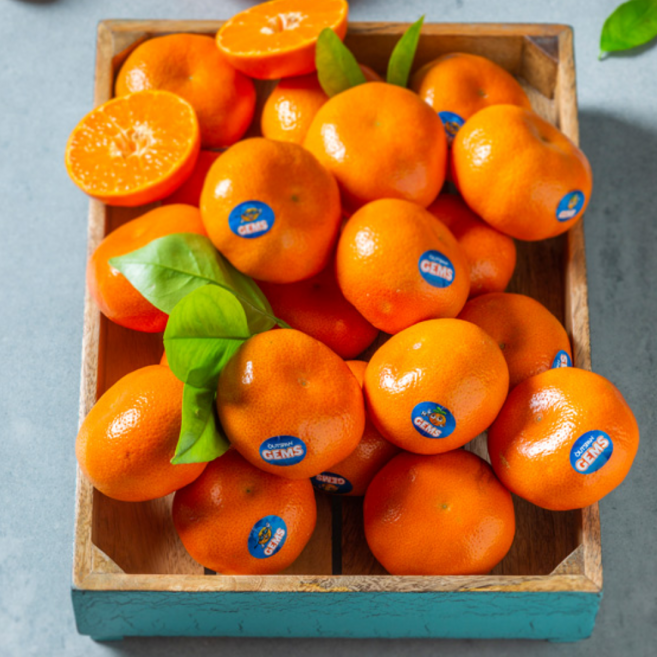 [재구매율1위] 황금당도 미국산프리미엄 만다린 감귤, 1세트, 5kg