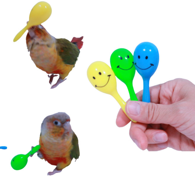앵무새 장난감 놀이 췍췍이 3개 세트, 1개
