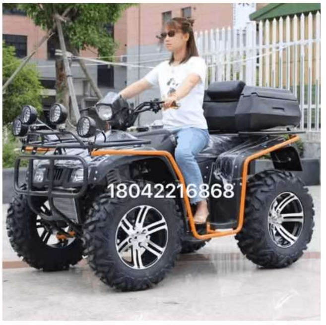4륜 구동 가솔린 오토바이 스쿠터 산악 250cc ATV, 옵션 A