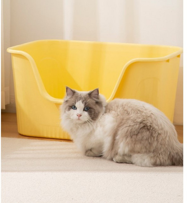開放式貓砂盆, 黃色, 1個