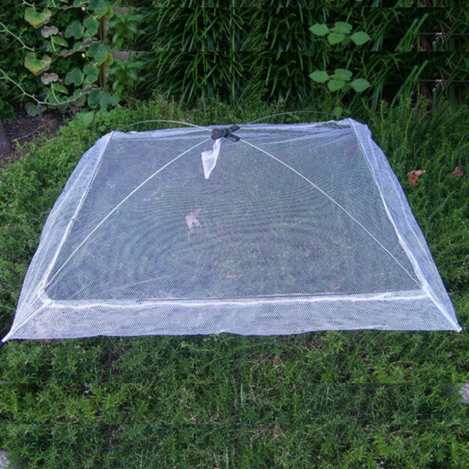 십자천 새우망 1m