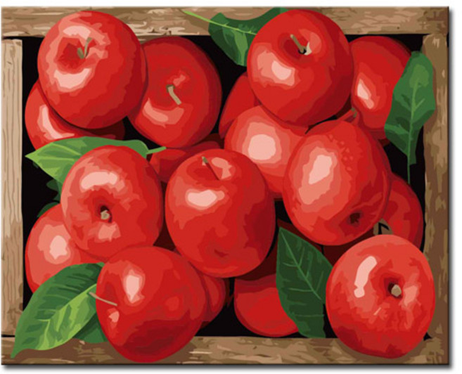 DIY캔버스페인팅 명화그리기 액자 그림 세트 유화 - 정물 40x50, S65_부귀홍사과, 1개