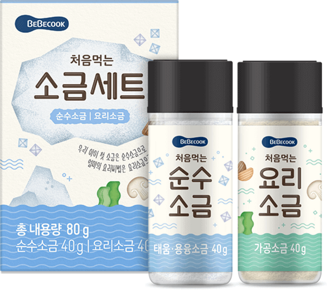 베베쿡 처음먹는 소금세트, 40g, 1세트
