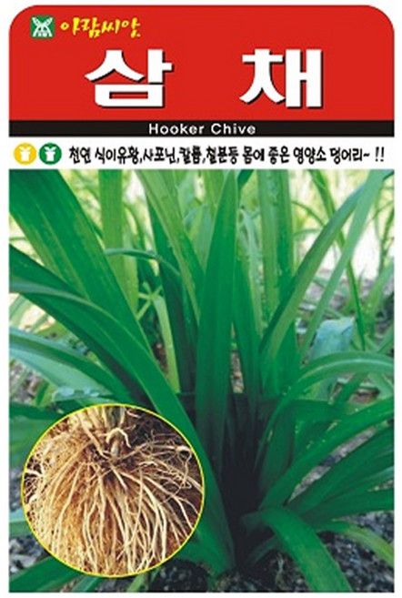 삼채 씨앗 씨 종자, 3개