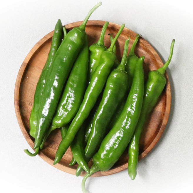 농산물마루 국내산 오이고추, 1개, 1kg