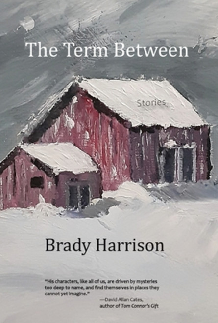 (영문도서) The Term Between Hardcover, Twelve Winters Press, English, 9781733194969