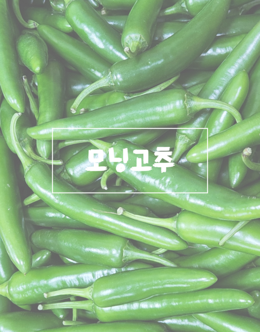모닝고추 미니고추 아삭이 풋고추 1kg 5kg, 모닝고추1kg, 1개