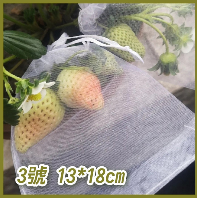 水果套袋 防蟲防鳥網 白色紗網袋 束口設計 園藝果實保護網 13x18公分, 1個, 3號 13*18公分