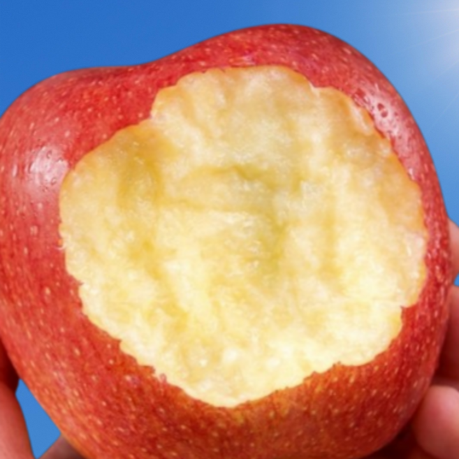 [7일초특가] 100박스한정판매 고당도 부사 사과, 1박스, 5kg