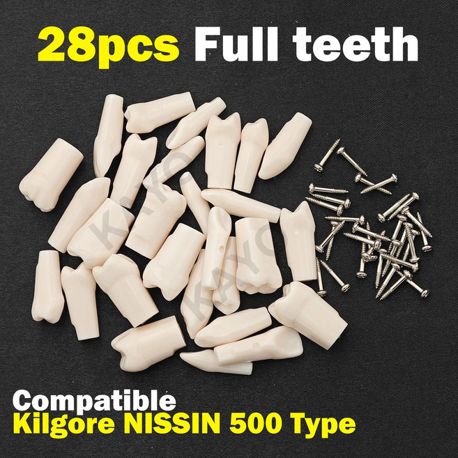 덴티폼 치과탐침 셀프치석제거 치과 치아 모델 Typodont 나사 식 교체 NISSIN 500 유형 준비 훈련 연습에 적합, 06 Number 43-10pcs