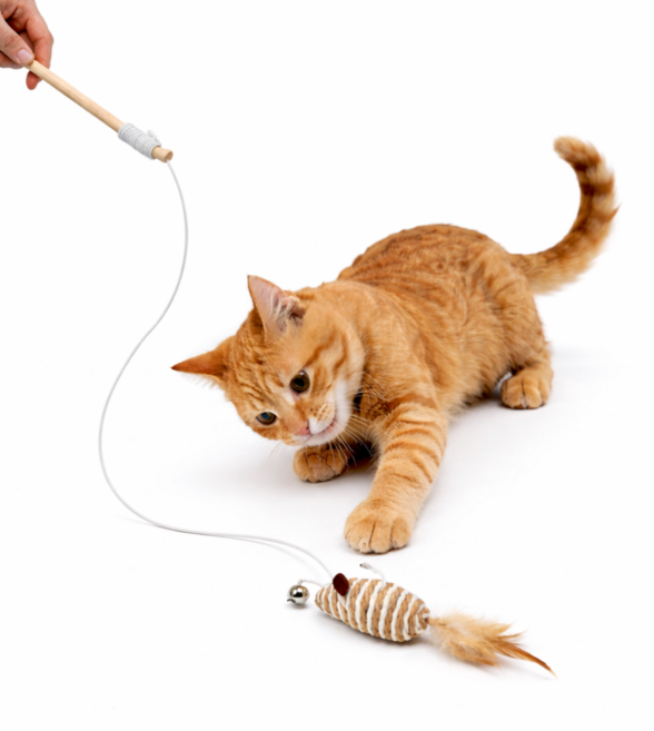 고양이 장난감 낚싯대 쥐 장난감 깃털 고양이 놀이터 용품, 1개, 갈색 쥐 낚싯대 고양이 장난감