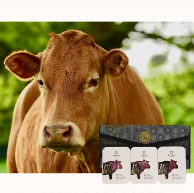 [우리한우365] 영주한우 1++등급 한우선물세트 구이용 국거리 살치살 안심 채끝 소고기 설 추석 명절 부모님선물, 명품 2호세트, 1개