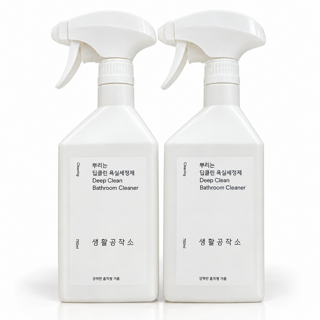 생활공작소 뿌리는 곰팡이 제거제, 750ml, 2개