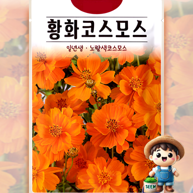 KS종묘 황화코스모스 200립 노란색 코스모스 일년생 꽃씨 씨앗 종자 고급씨앗, 1개