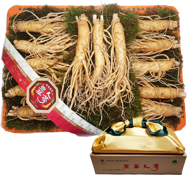 대한인삼사 인삼선물세트 풍기인삼 750g, 1개