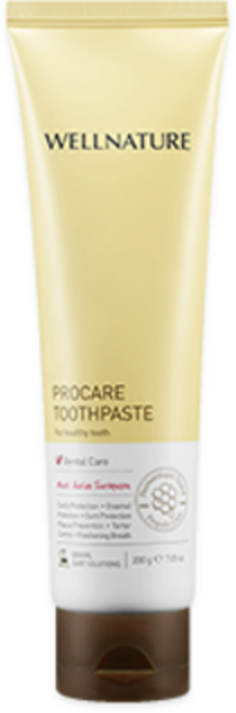 교원 더오름 웰네이처 프로케어 치약 200g 1개 저자극 프로폴리스 의약외품 잇몸질환예방