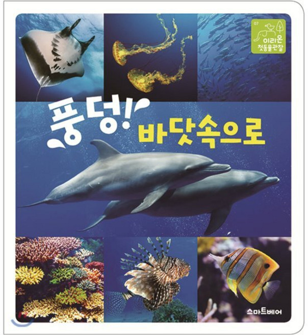 풍덩! 바닷속으로, 스마트베어, 소울하우스 글/최재천 감수, 9788930263887, 이리온 첫 동물관찰
