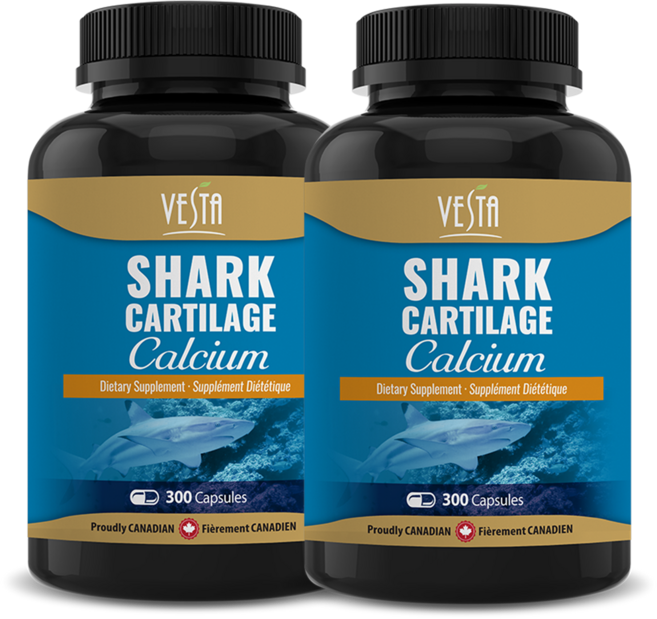 [캐나다본사 빠른직구] 베스타 상어연골칼슘 Shark Cartilage 샤크카트리지 300캡슐 콘드로이친 영양제 갱년기여성 뼈건강 성장기 청소년, 2병, 2개, 300정