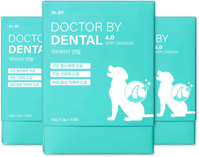 닥터바이 덴탈 강아지 구강 영양제 구강 항산화 건강 치태 구취 개선, 30회분, 구강/치석관리, 3세트