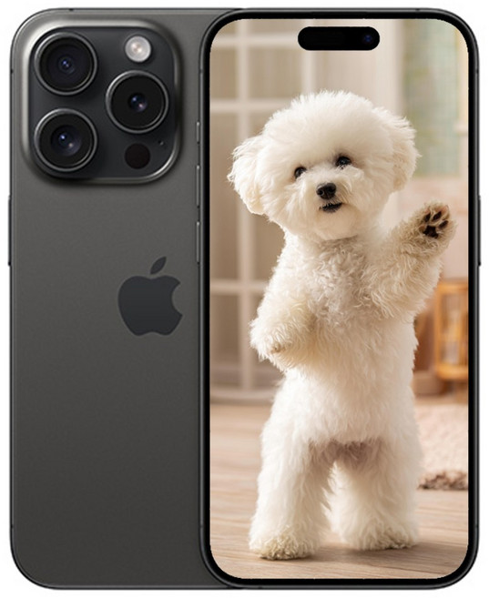 i폰15 Pro 미개봉 새상품, 128GB, 옵션명 아이폰 블랙티타늄