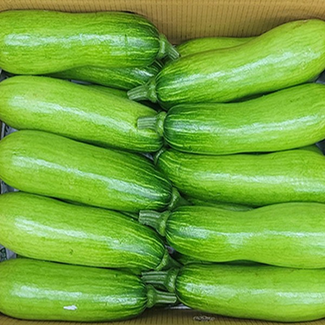 특품 국내산 자연애호박, 5개